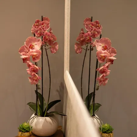 Dolce & Terrace By C&g